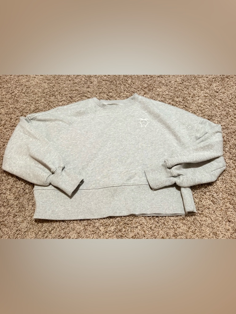 Aerie Cropped Oversized Gray Sweatshirt size XS